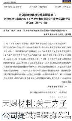 天赐材料:关于为子公司提供担保的公告