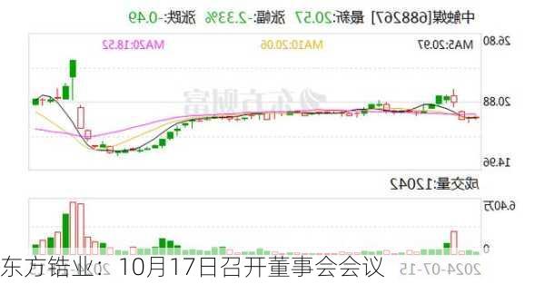 东方锆业：10月17日召开董事会会议