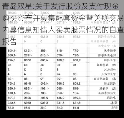 青岛双星:关于发行股份及支付现金购买资产并募集配套资金暨关联交易内幕信息知情人买卖股票情况的自查报告