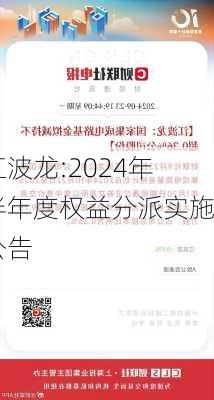 江波龙:2024年半年度权益分派实施公告