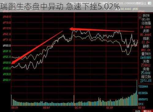 瑞图生态盘中异动 急速下挫5.02%