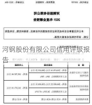 河钢股份有限公司信用评级报告