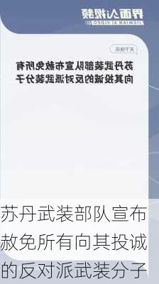 苏丹武装部队宣布赦免所有向其投诚的反对派武装分子