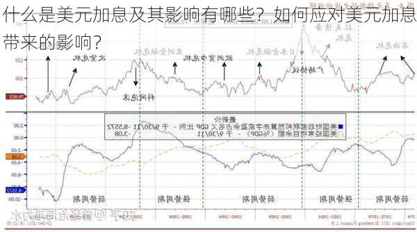 什么是美元加息及其影响有哪些？如何应对美元加息带来的影响？