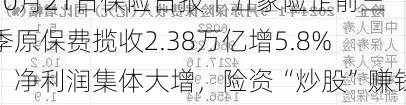 10月21日保险日报丨五家险企前三季原保费揽收2.38万亿增5.8%，净利润集体大增，险资“炒股”赚钱了！