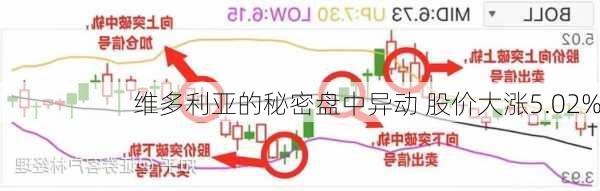 维多利亚的秘密盘中异动 股价大涨5.02%