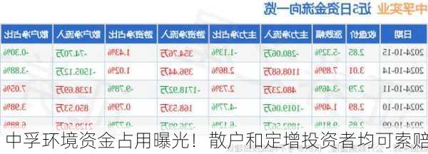 中孚环境资金占用曝光！散户和定增投资者均可索赔