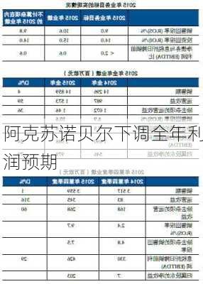 阿克苏诺贝尔下调全年利润预期