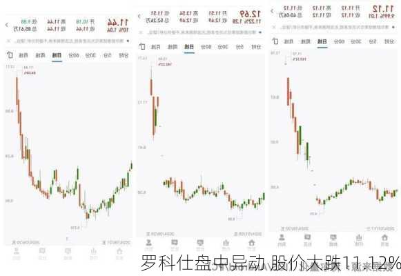 罗科仕盘中异动 股价大跌11.12%