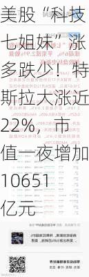 美股“科技七姐妹”涨多跌少！特斯拉大涨近22%，市值一夜增加10651亿元