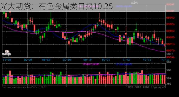 光大期货：有色金属类日报10.25