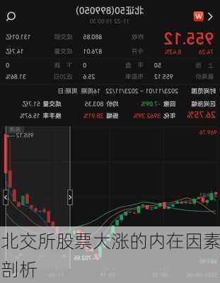 北交所股票大涨的内在因素剖析