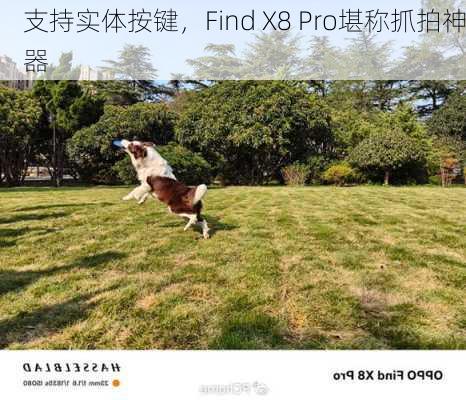 支持实体按键，Find X8 Pro堪称抓拍神器