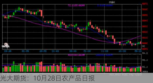 光大期货：10月28日农产品日报