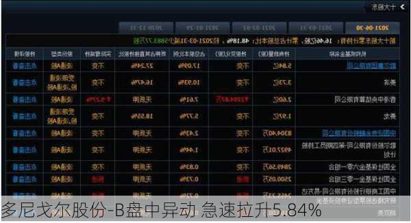 多尼戈尔股份-B盘中异动 急速拉升5.84%