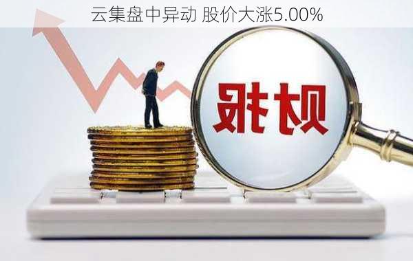 云集盘中异动 股价大涨5.00%