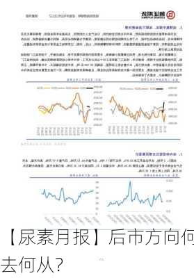 【尿素月报】后市方向何去何从？