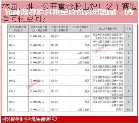 林园，唯一公开重仓股出炉！这个赛道有万亿空间？