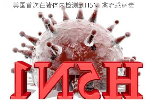 美国首次在猪体内检测到H5N1禽流感病毒