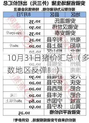 10月31日猪价汇总（多数地区反弹！）