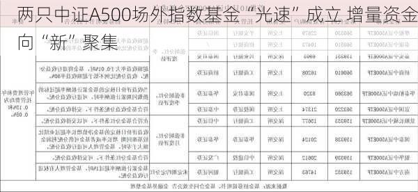 两只中证A500场外指数基金“光速”成立 增量资金向“新”聚集