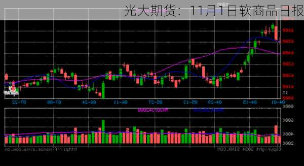 光大期货：11月1日软商品日报