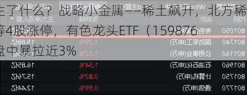 发生了什么？战略小金属——稀土飙升，北方稀土等4股涨停，有色龙头ETF（159876）盘中暴拉近3%