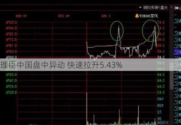 理臣中国盘中异动 快速拉升5.43%