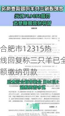 合肥市12315热线回复称三只羊已全额缴纳罚款