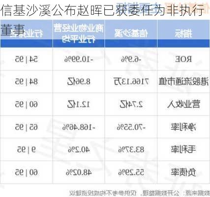 信基沙溪公布赵晖已获委任为非执行董事