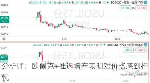 分析师：欧佩克+推迟增产表明对价格感到担忧