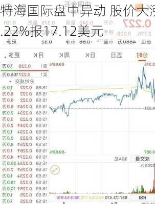 特海国际盘中异动 股价大涨5.22%报17.12美元