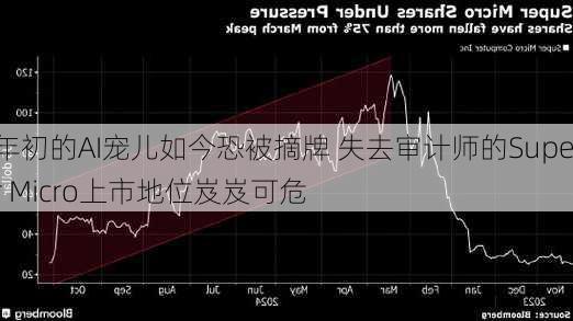 年初的AI宠儿如今恐被摘牌 失去审计师的Super Micro上市地位岌岌可危