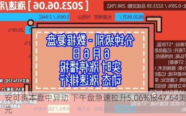 安可资本盘中异动 下午盘急速拉升5.06%报47.64美元