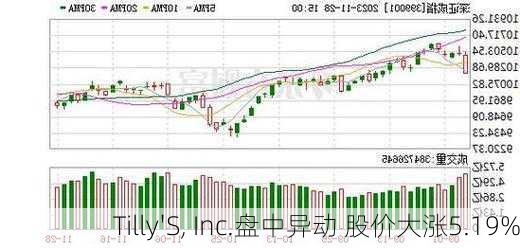 Tilly'S, Inc.盘中异动 股价大涨5.19%