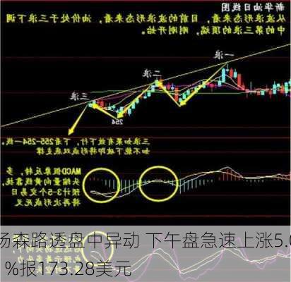 汤森路透盘中异动 下午盘急速上涨5.01%报173.28美元