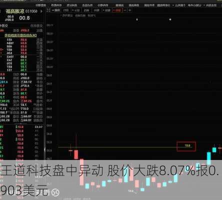 王道科技盘中异动 股价大跌8.07%报0.903美元