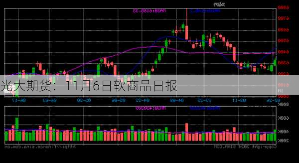 光大期货：11月6日软商品日报