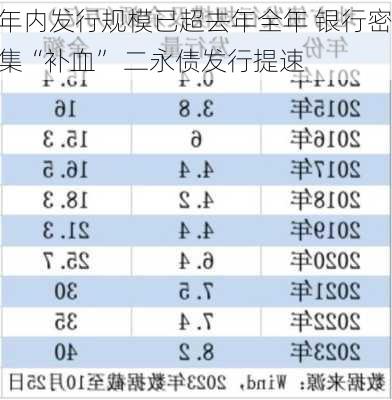 年内发行规模已超去年全年 银行密集“补血” 二永债发行提速