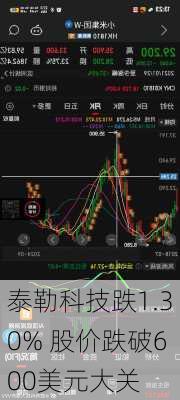 泰勒科技跌1.30% 股价跌破600美元大关