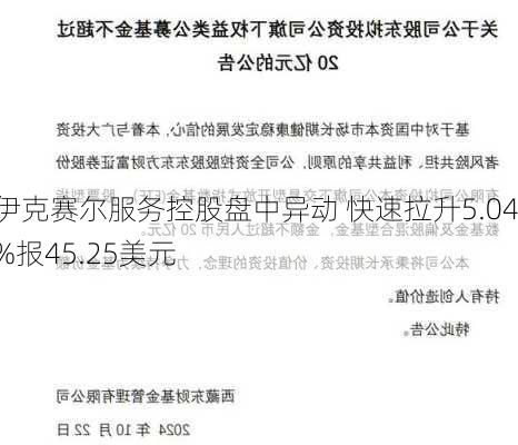 伊克赛尔服务控股盘中异动 快速拉升5.04%报45.25美元