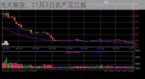 光大期货：11月7日农产品日报