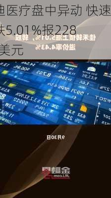 碧迪医疗盘中异动 快速下跌5.01%报228.04美元