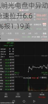 旭明光电盘中异动 急速拉升6.66%报1.19美元