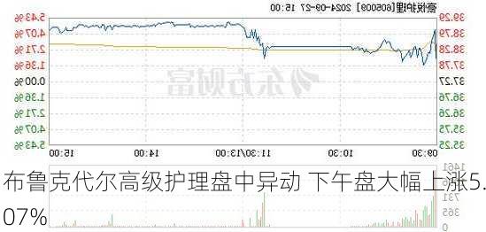 布鲁克代尔高级护理盘中异动 下午盘大幅上涨5.07%