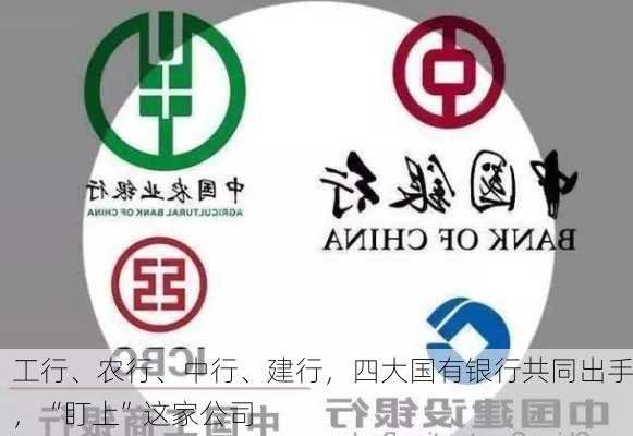 工行、农行、中行、建行，四大国有银行共同出手，“盯上”这家公司