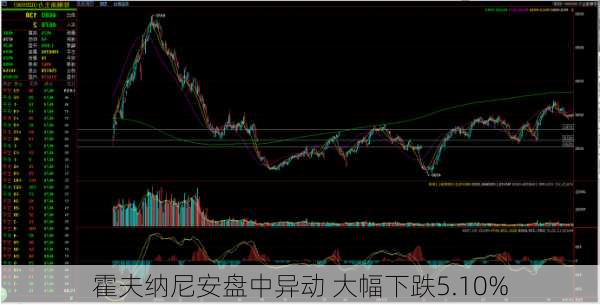 霍夫纳尼安盘中异动 大幅下跌5.10%