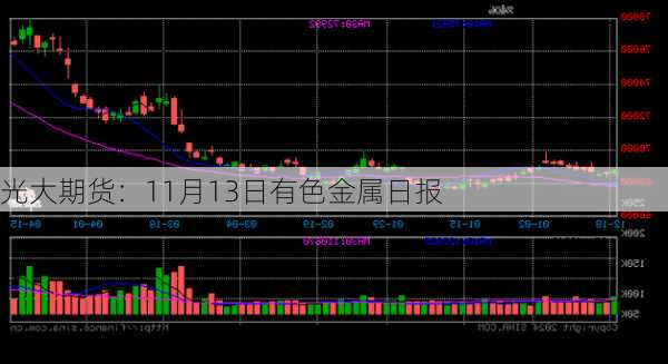 光大期货：11月13日有色金属日报