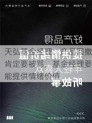 天弘基金经理：产品回撤肯定要被骂，基金经理要能提供情绪价值