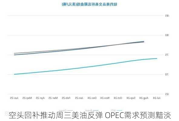 空头回补推动周三美油反弹 OPEC需求预测黯淡